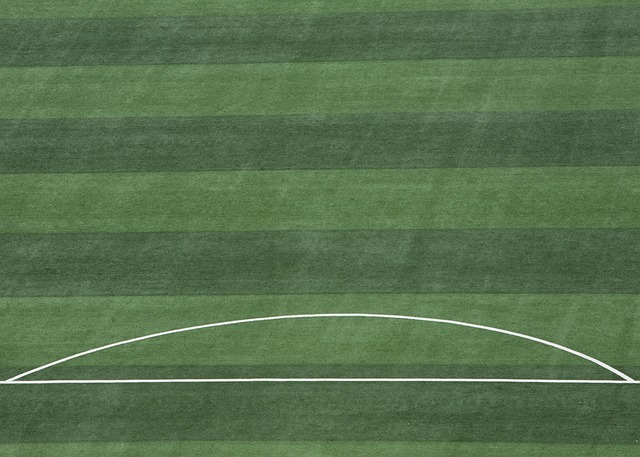 狼的惨败 狼的惨败