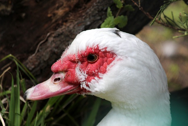 景下的必然 景下的必然