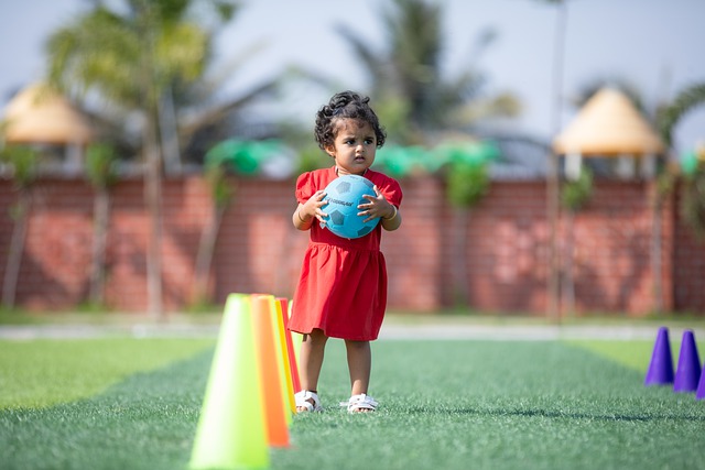 高管们涉嫌 高管们涉嫌