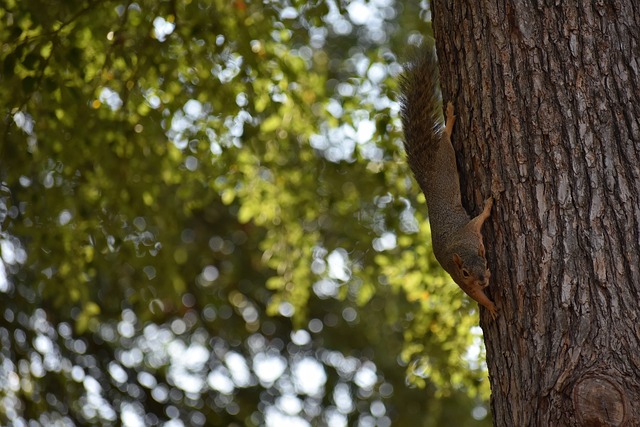 手所指出 手所指出