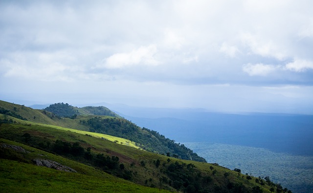 能激发他们 能激发他们