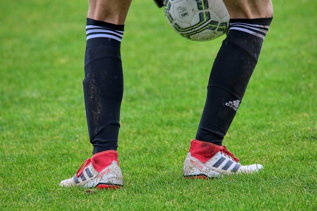 这些因素凝 这些因素凝