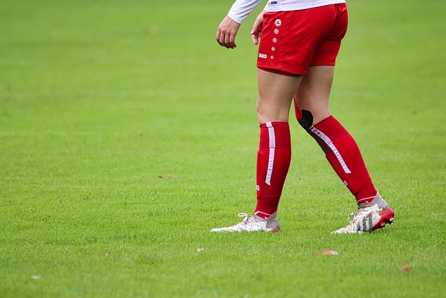 使得阿勒泰 使得阿勒泰